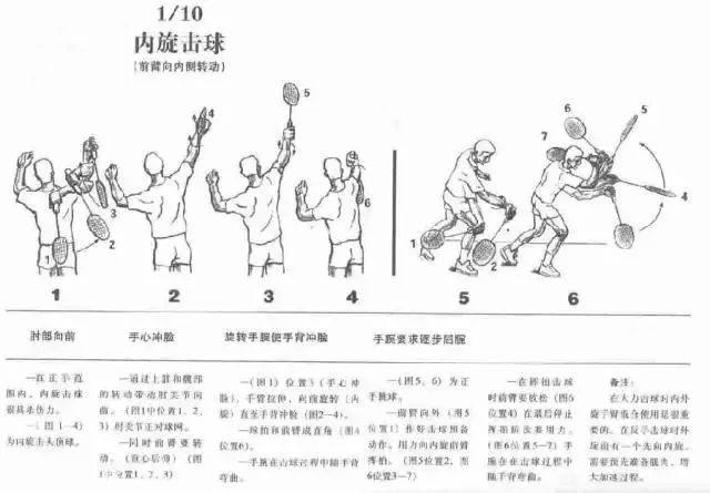 初学羽毛球必备图解