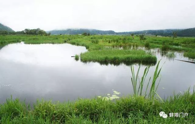 蚌埠又将多一处省级湿地公园