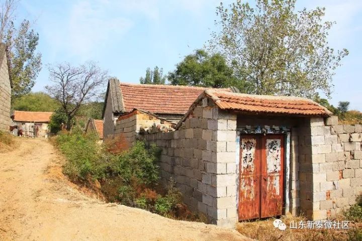 新泰市村落地名志龙廷镇南河庄东村