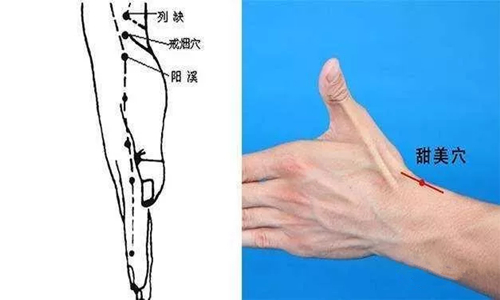 位置:位于列缺与阳溪之间,距桡骨茎突边缘约一拇指之柔软处,有明显