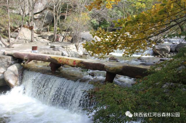 五彩红河谷,缤纷秋意浓