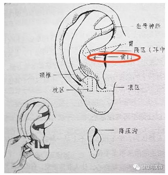 (位置参考下图)