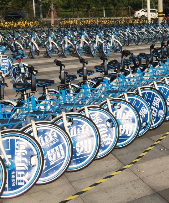 它叫 hellobike (哈罗单车)