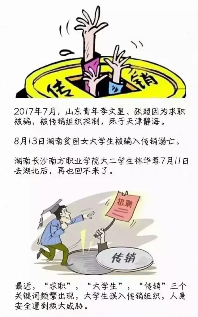 反传销|我不想发财,我只想好好实习