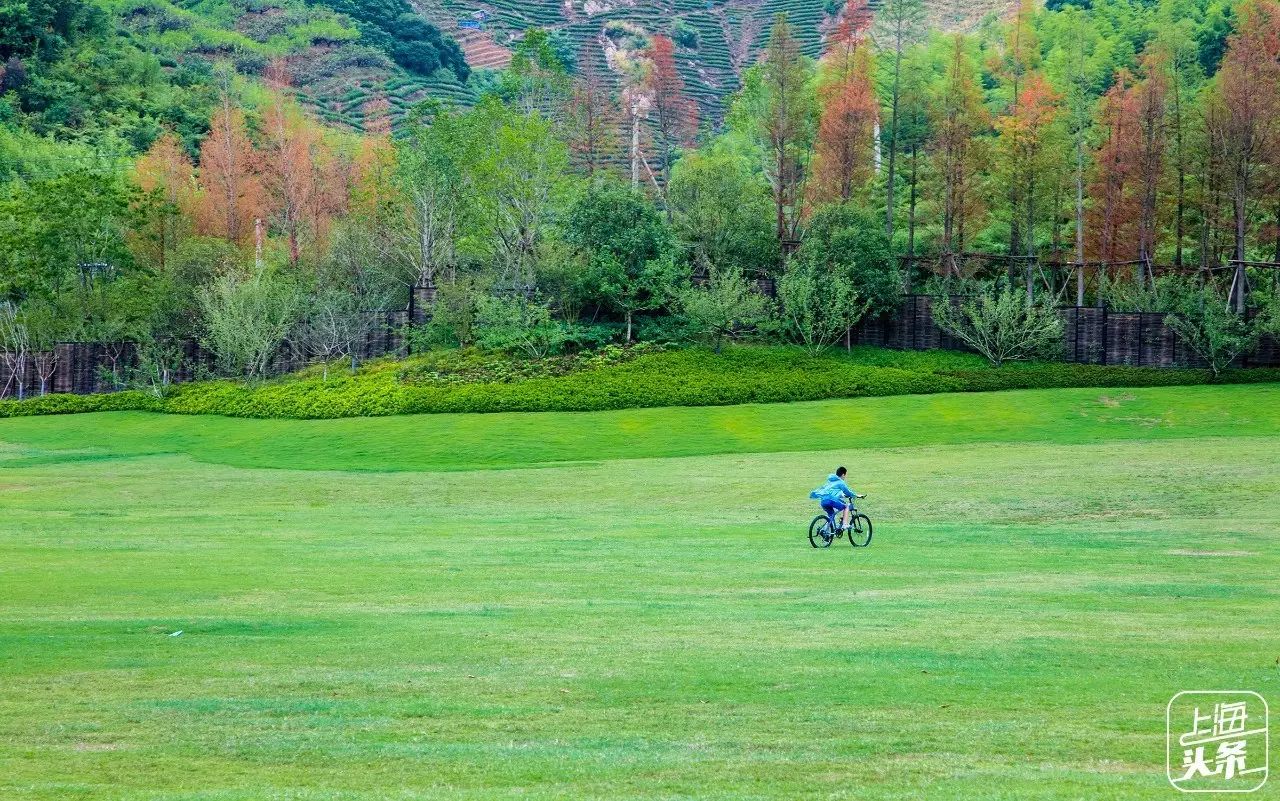 宋卫平杀进莫干山,搞了个不一样的小镇