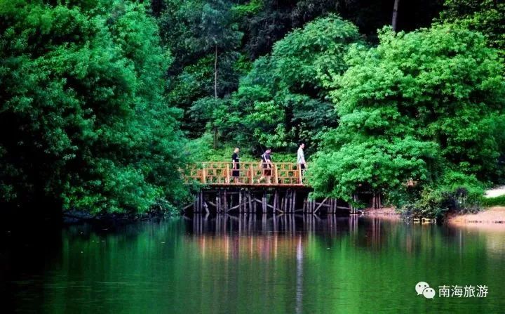 地址:佛山市南海区狮山镇松岗南国桃园旅游渡假区.