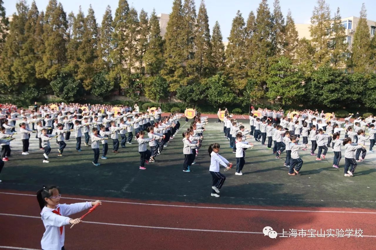 校园活动宝山实验学校小学部21届运动会