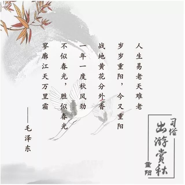 油仔带你过重阳