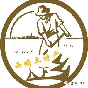 西畴招聘_西畴县首个青年人才服务公司落地莲花塘