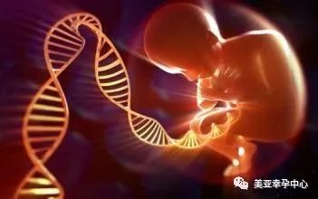 三代试管婴儿PGS胚胎染色体筛查