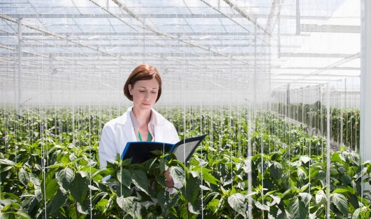 工智能工程 农业大脑 亮相北京;青岛工商登记实
