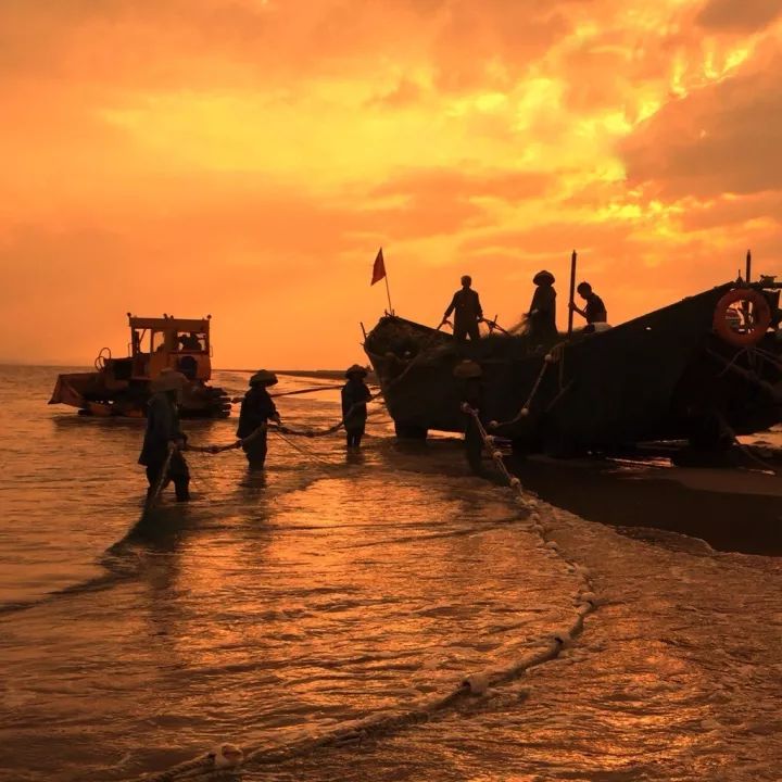 ta说 我热爱故乡的那片蓝海,热爱海边那些和我同饮一湾水的兄弟姐妹们