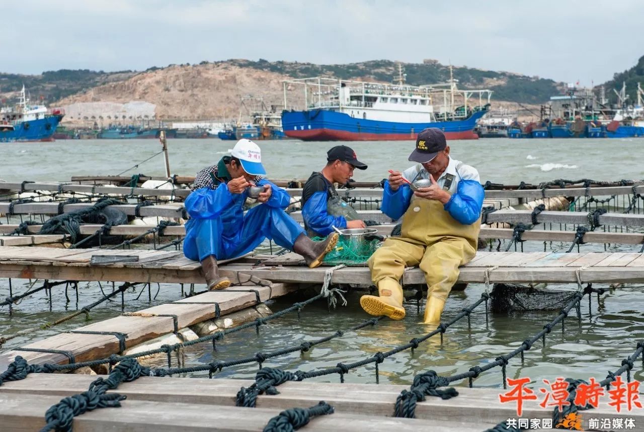 很多平潭人靠它发家致富赚钱的背后是