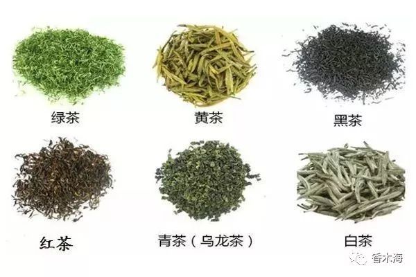 最全六大茶类基本知识汇总(值得收藏)