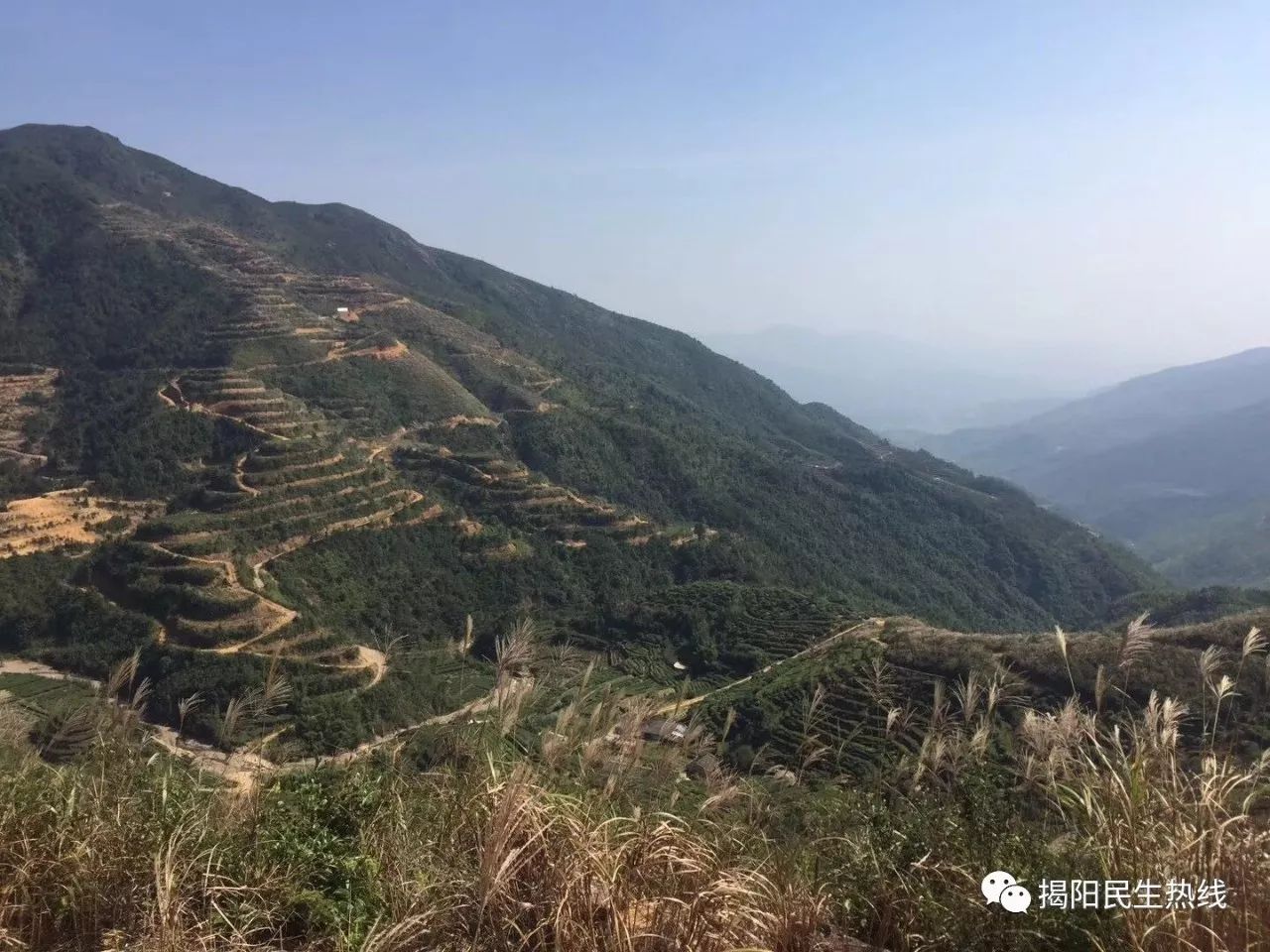 日前,一群驴友就到揭东区玉湖镇坪上村的山峰探险,放飞心情.