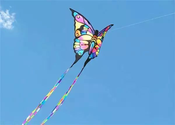 在龙串类,软翅类,硬翅类10个类别中展开角逐,展示不同流派风筝的魅力