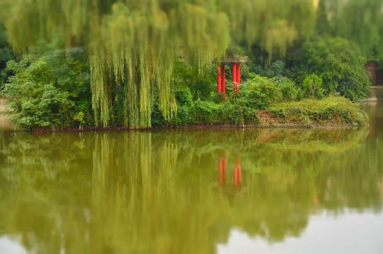 神仙湖(鱼化湖)