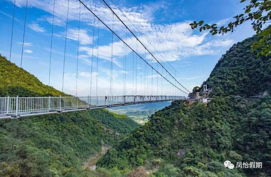 韶关云门山风景区,广东玻璃桥 【南雄银杏】染深秋【帽子峰银杏林