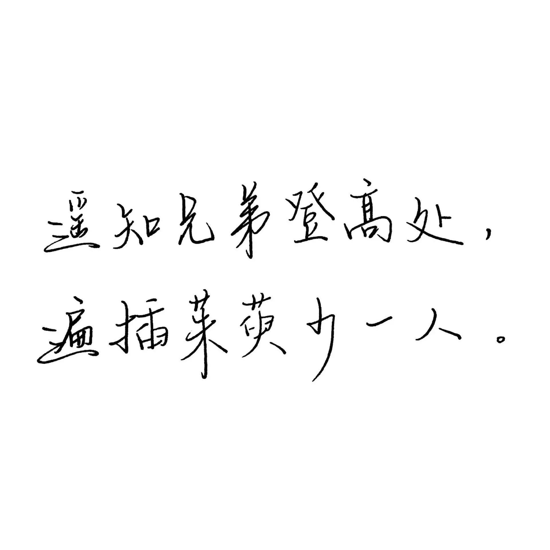 练字作业|遥知兄弟登高处