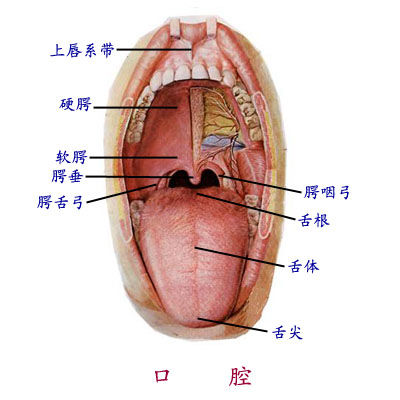 如果舌头的颜色长期是紫色或暗红色,提示可能患有癌