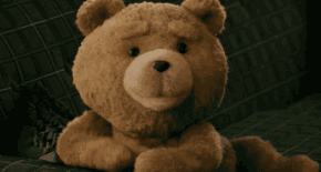 萌萌的泰迪熊 但市面上一些进口泰迪熊 小小一只就要几百元 价格普遍