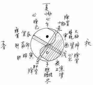 十二时辰经络脏腑太极图