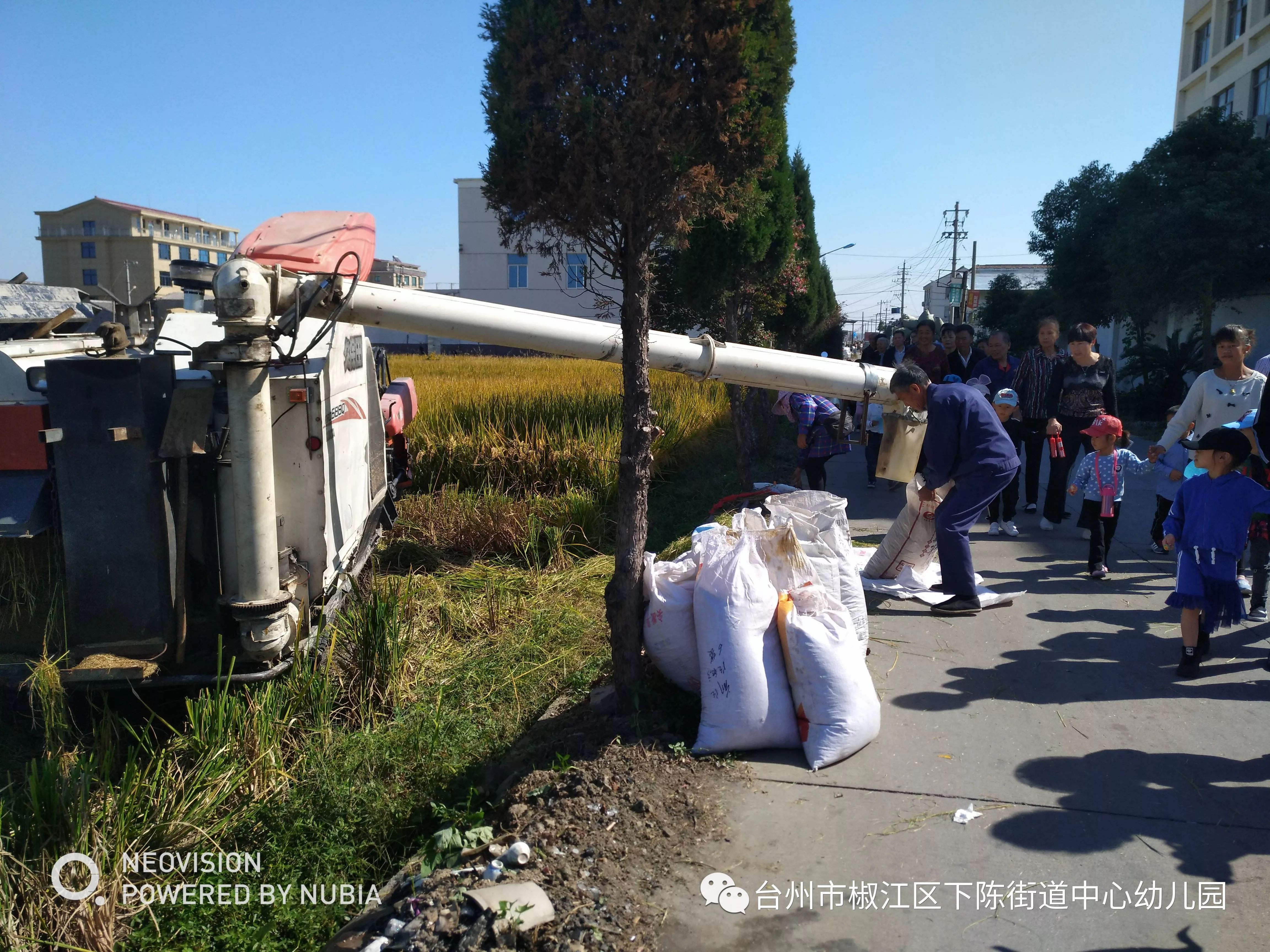 情暖重阳,老幼同乐—下陈街道中心幼儿园重阳远足活动