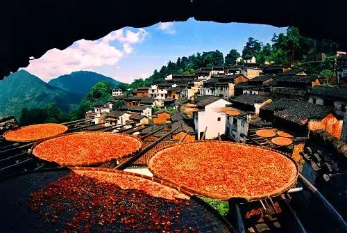 婺源之秋,中国最美乡村的秋景