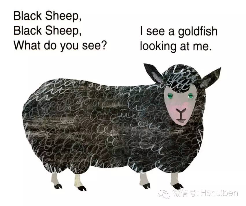 i see a black sheep  looking at me.