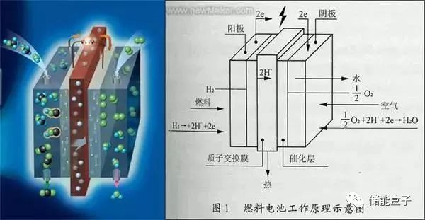 图3.燃料电池原理示意图