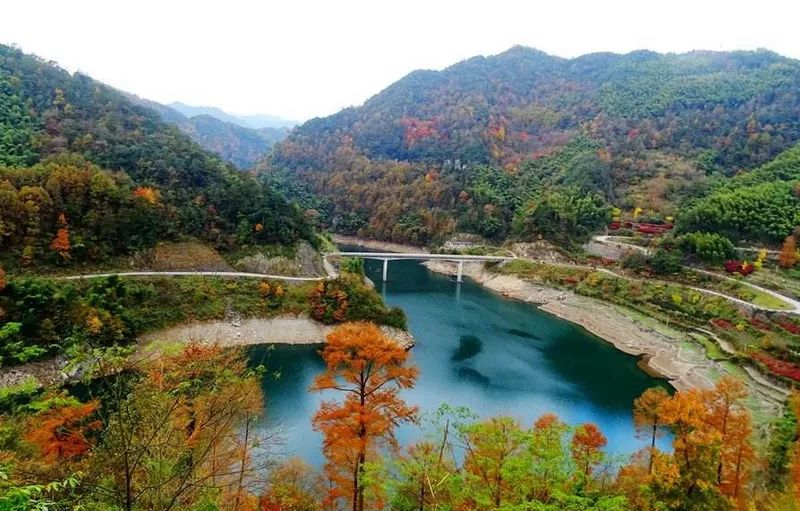 【赏秋】11/11 秋染四明山,徒步茅镬到仗锡