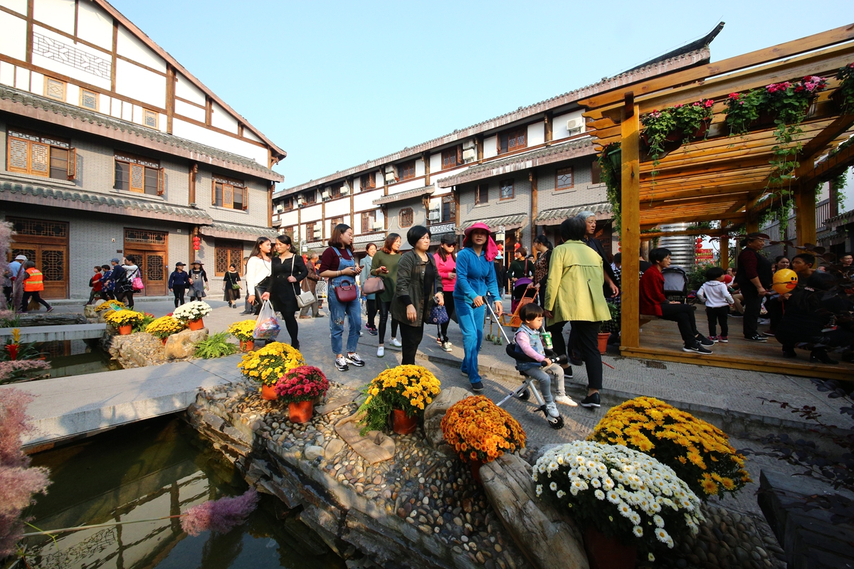 菊花展首个周末龙泉铺古镇游客量近30万人次