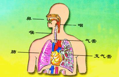 人口呼吸_北京回应雾霾耐药菌 不意味着致病性增强