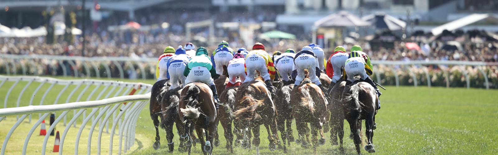 melbourne cup festival | 让澳洲举国屏息的赛事,一