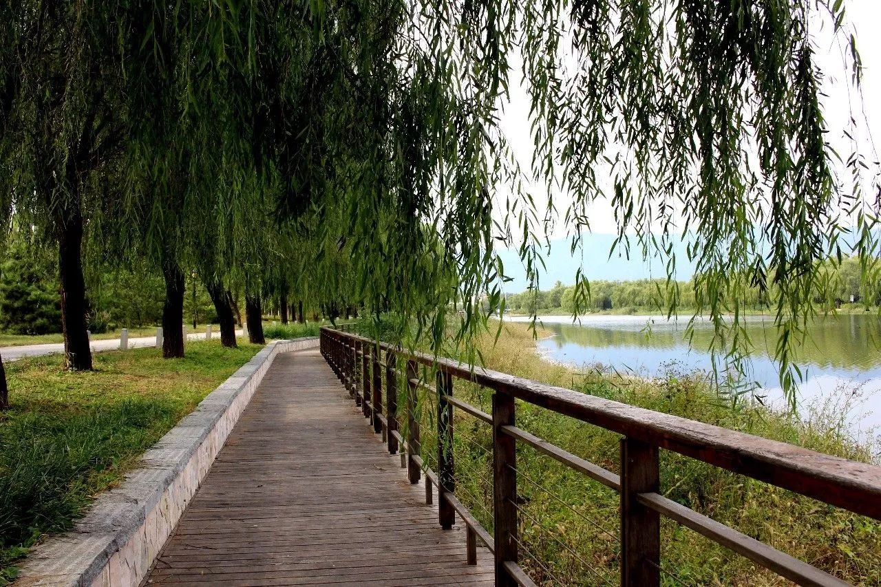 海淀北部有条滨水绿道,到底有多美?看完你就惊呆了!