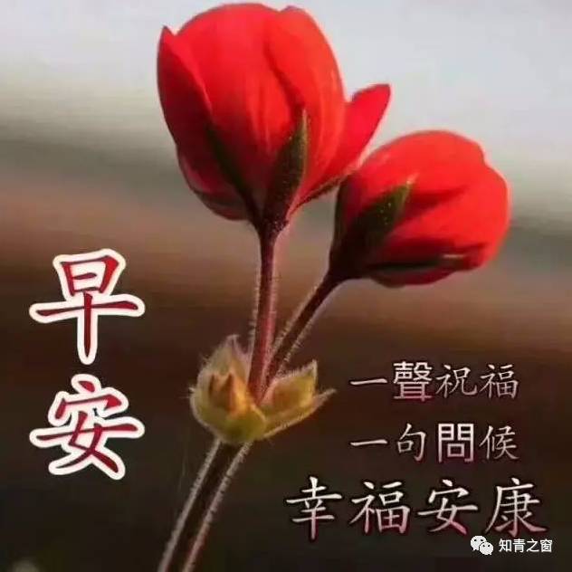 祝朋友们:平安幸福