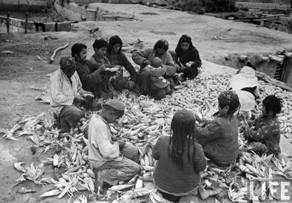 粮食 人口 历史 改朝换代_节约粮食手抄报(3)