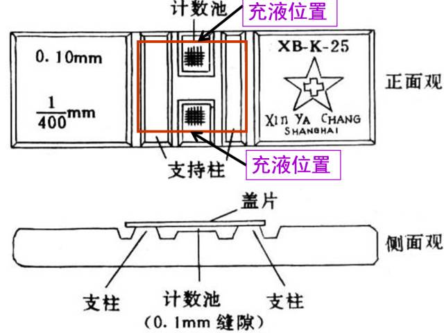 【实用】白细胞计数"金标准",检验人都应该掌握的技术