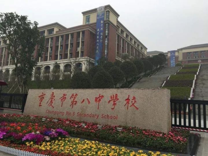 教育 正文  重庆市第八中学校简称