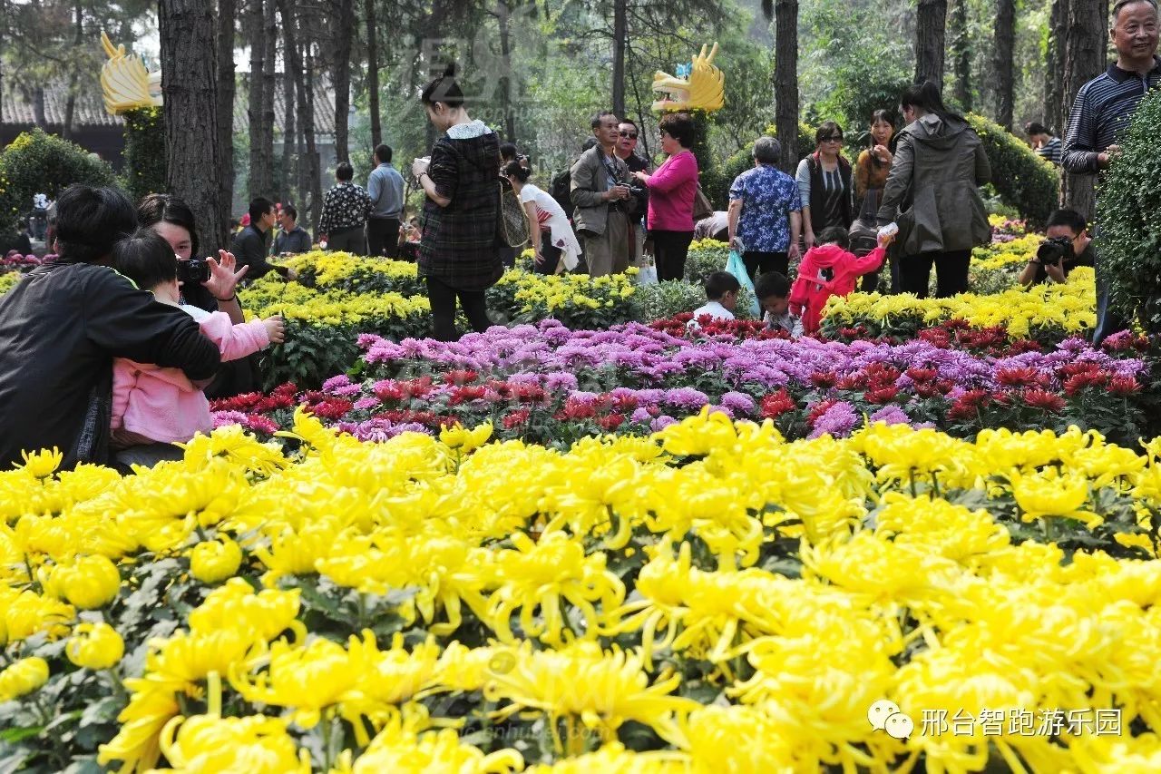 今日重阳,智跑游乐园祝天下老人幸福安康