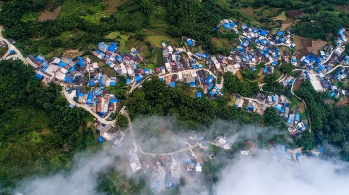 与山共舞 为茶写诗——普洱澜沧邦崴茶农张祖英