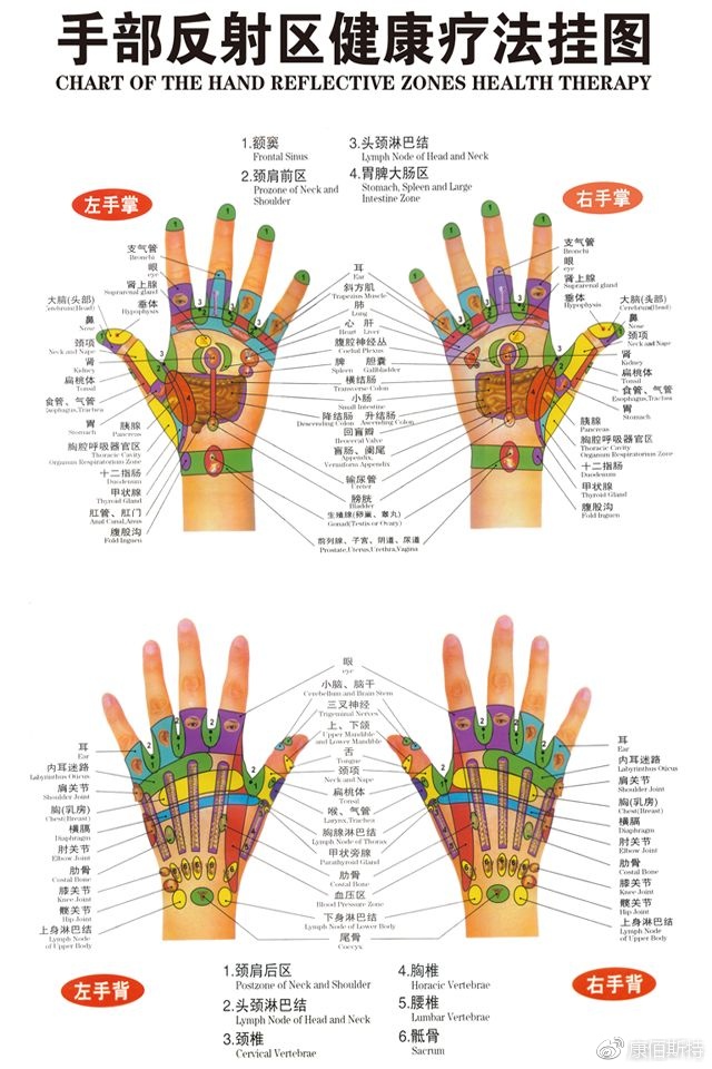 持续不断地按摩手部反射区,对晕船,晕车引起的不适症状也会有所改善.