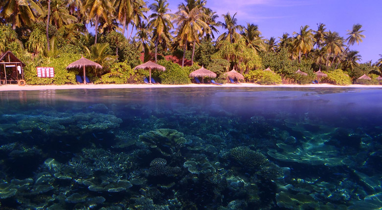 马尔代夫浮潜岛屿之一的鲁滨逊岛浮潜怎么样