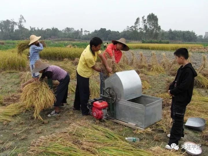 那些逝去的时光,也献给现在的孩子和大人们,爱惜粮食,珍惜劳动成果