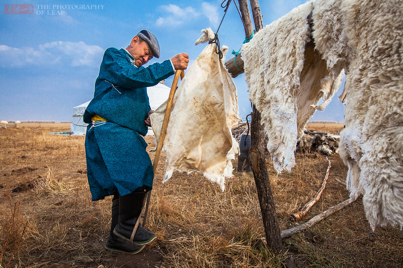 古老的熟皮技艺还传承在内蒙古大草原，一张羊皮卖一百多块