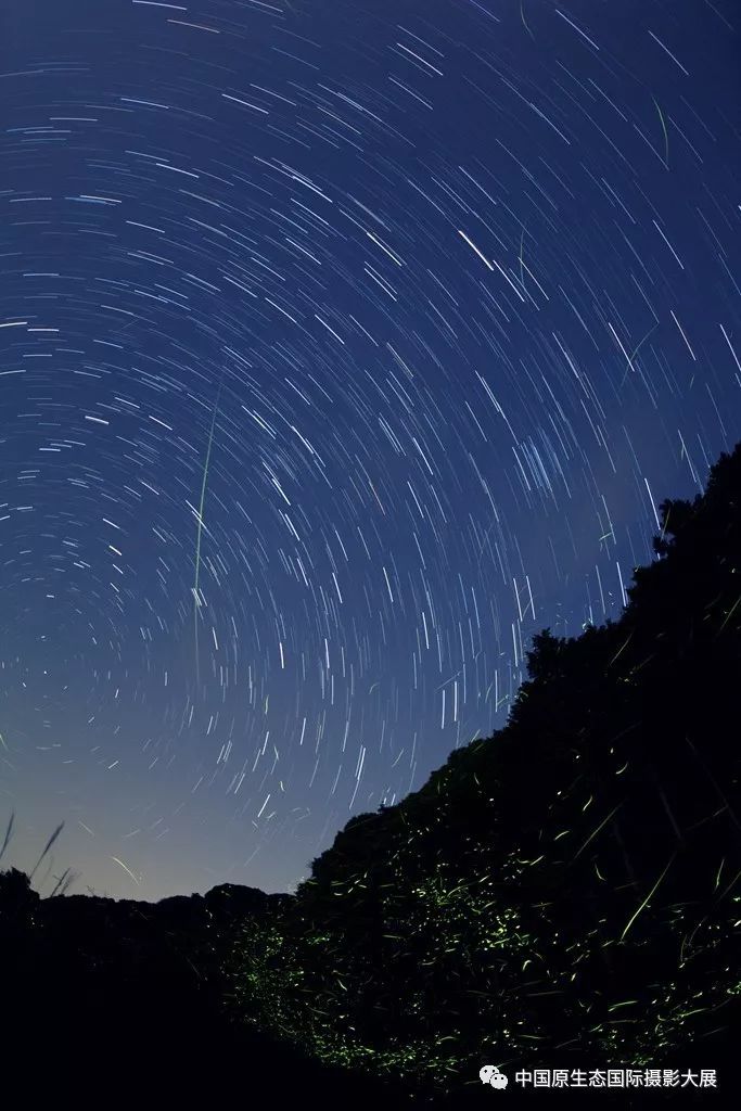 日月光华 璀璨星河