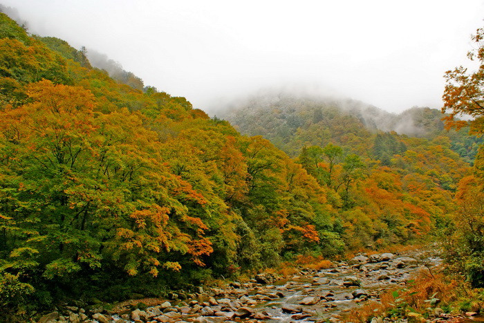 米仓山自然保护区·鼓城山红叶包3日自驾游