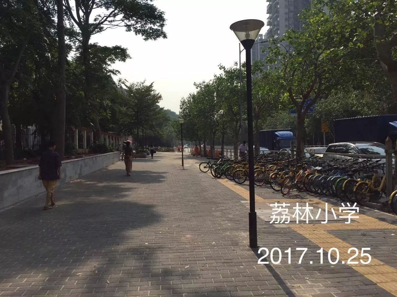 南山街道荔林小学发来一封感谢信看完心里暖暖的