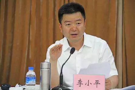 李小平 人口