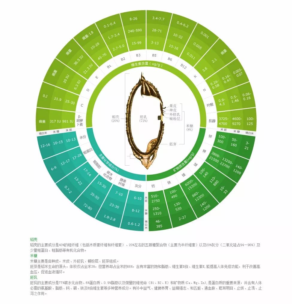 【长知识】稻谷结构的百个细分,总算找全了!